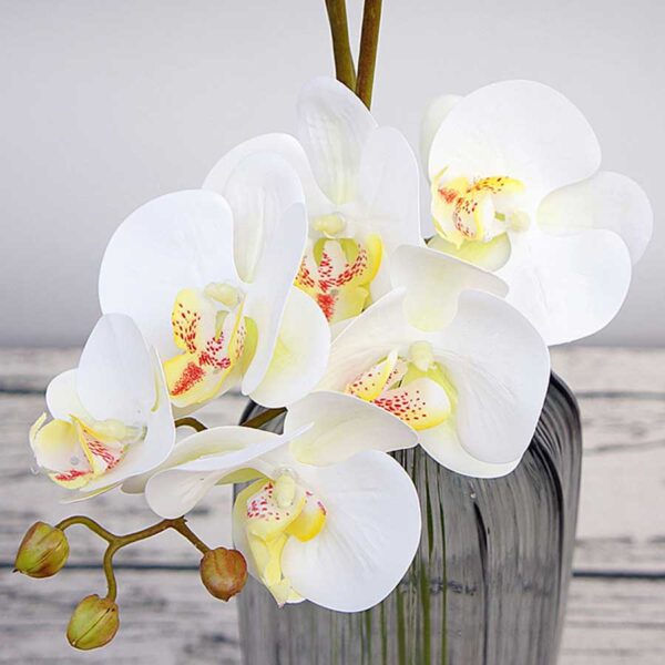 70 cm 3D Artificial Butterfly Orchid Flower - Image 6