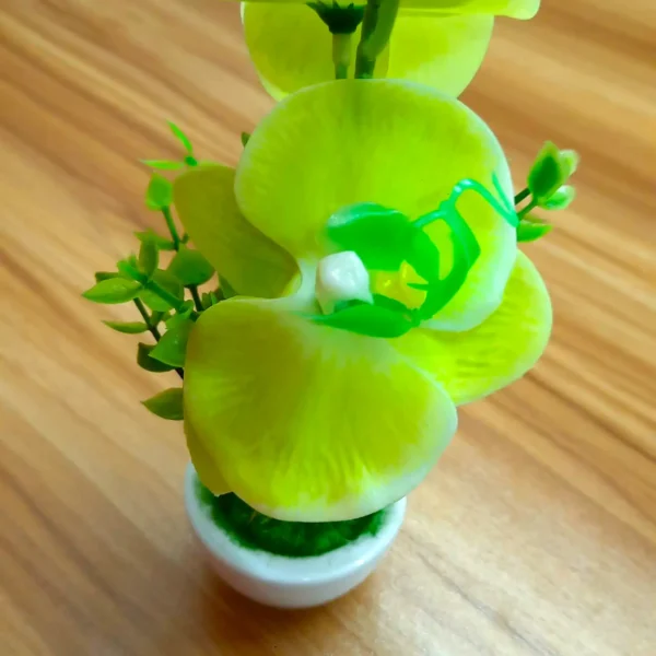 Artificial Orchid Plant With Tub - Green - Image 3