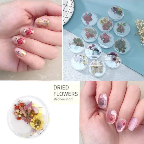 1 Box Colorful Mixed Natural Dried Flowers 3D Nail Art - Image 3