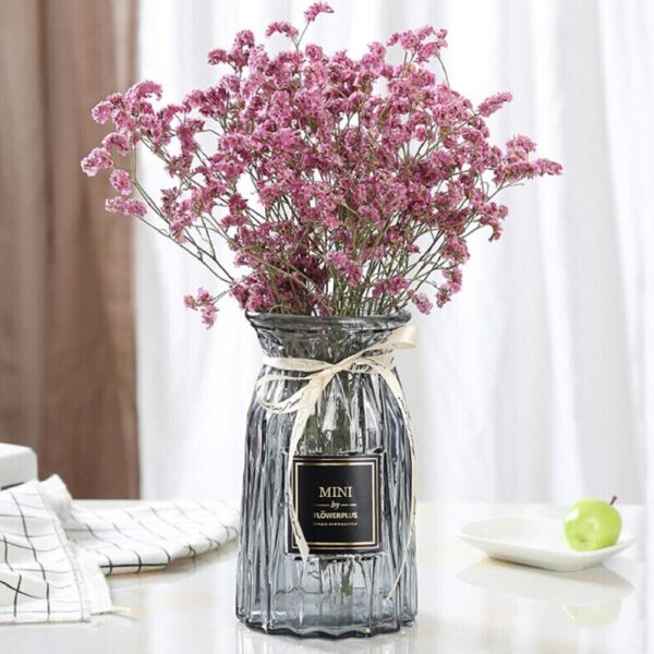 Nordic Style Transparent Hydroponics Flower Vase - Image 3